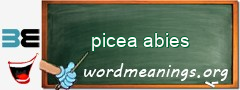 WordMeaning blackboard for picea abies